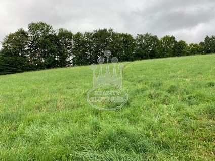 Prodej pozemku o velikosti 2225 m2 vTrutnově - Fotka 1