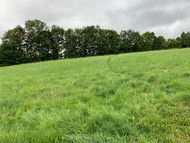 Prodej pozemku o velikosti 2225 m2 vTrutnově